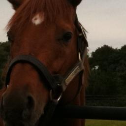 RMUの鈴木智憲です。 札幌出身。
麻雀、競馬、競艇そしてミスチルをこよなく愛しています。