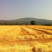 Will Stokes (@willstokes228) 's Twitter Profile