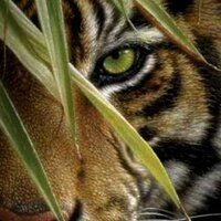 Scott S (@scotts452) 's Twitter Profile