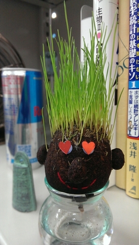 some0104_twit's profile picture. PhD, RN, Associate Prof., 2025-YCU, 2013-The University of Tokyo, National Center of Global Medicine (NCGM), National College of Nursing (NCN)