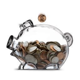 Webmaster dans un futur proche. Mène un vaste #projet consistant en l'éveil de l'esprit de businessman qui règne en chacun des internautes. #économie #budget