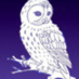 Kirton Primary Schoo (@kirtonpri) Twitter profile photo Kirton Primary Schoo (@kirtonpri) Twitter profile photo