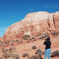 Michele Woodson (@mw112364) 's Twitter Profile