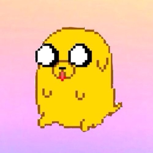 officalvbravo Profile Picture