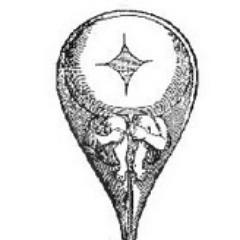 WAKABIO's profile picture. わかばいお/ごはん/カフェ/散歩/ペン字/習字/書道/再受験