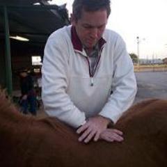 Author of The Well Adjusted Horse