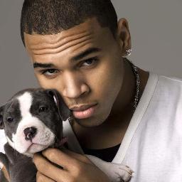 Parody account of Chris Brown. Beating asses world wide #chrisbrown #bitches #girls #pussy #teambeatass. I #lbeat em and they love it! #rihanna just 1 of many
