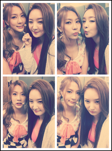parody of Apink's magnae, Oh Hayoung | kaefsi;BABYFAMS;ST★RLIGHT | fantalk allowed