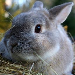 もうこれ以上、中韓に毟り取られたくない！