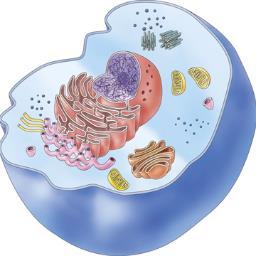 http://t.co/h8kQIzFOmZ is committed to the sole passion for all Biological Sciences. Biology-Nation provides multiple resources for all biological sciences!