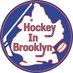 Hockey In Brooklyn (@hockeyinbklyn) Twitter profile photo Hockey In Brooklyn (@hockeyinbklyn) Twitter profile photo