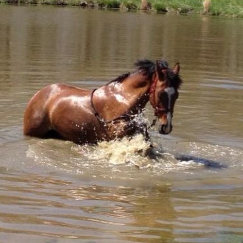 noll62's profile picture. 