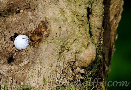 bad_luck_golfer's profile picture. A golfer sharing some of the worst moments of the game.