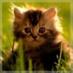 Марынчук Еким (@ekimmaryin141) Twitter profile photo