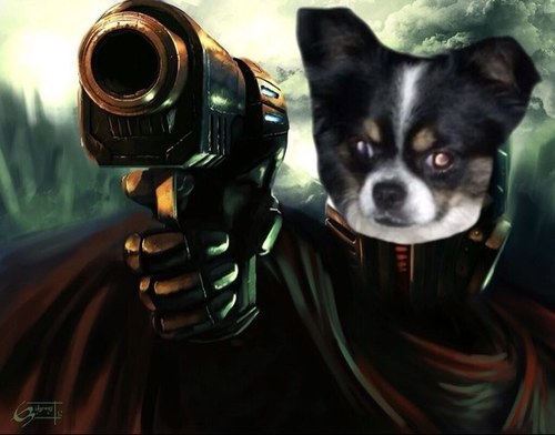 Handsome long hair chi aka Dog Father, Maniac Jack ,Houdini,and Shithead. Ize can escape any cage and raid any licker store , bounty hunter in space
