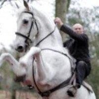mike loades (@mikeloades) 's Twitter Profile