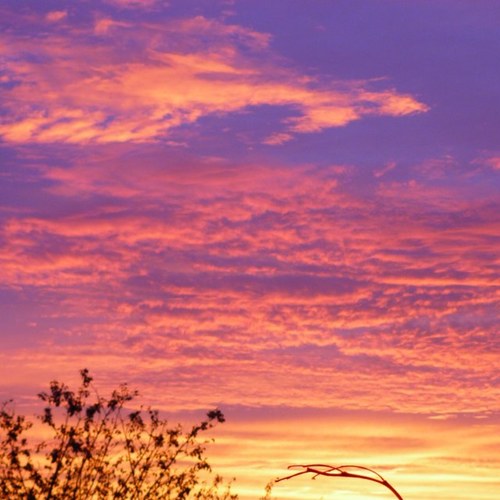 johnnyretro86's profile picture. 