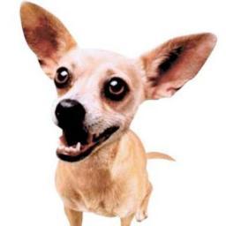 AzPlayItSafe's profile picture. 