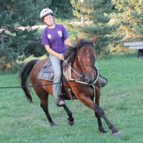 Just your average horse lovin cowgirl. What else could go wrong at a show, barn, and lesson..... DM me if you need horse help
 #horses #horseproblems