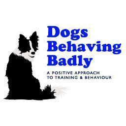 Pet Dog Training In Horsham, West Sussex.  Puppy and Beginners Classes.  1-2-1 Training and Behavioural Solutions