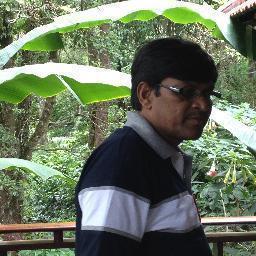 chikotis312's profile picture. 