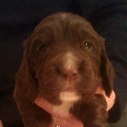 maddymatthews3's profile picture. 