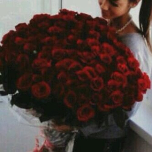 miOooOmi's profile picture. 