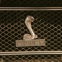 Stephan Bell (@i_bullet_i) 's Twitter Profile