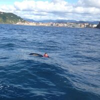 Juan Garate (@garatejuan84) 's Twitter Profile