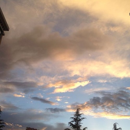 pusang898's profile picture. 