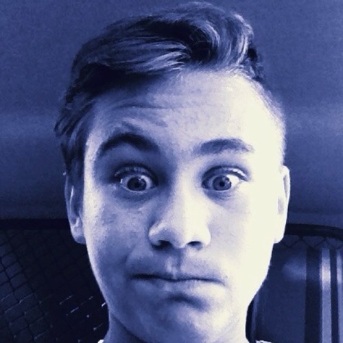 PetcuRobert's profile picture. 