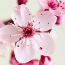 Regina Kyle - @lil_regina2 - Twitter