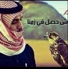 sa_kkv's profile picture. 