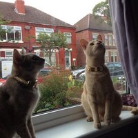 Matthew Ashton (@mmashton) 's Twitter Profile