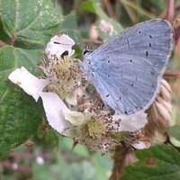 Jo Handford (@backwardl) 's Twitter Profile