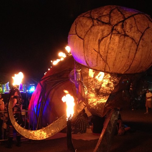 Kat_blows_oz's profile picture. Professional beach bum