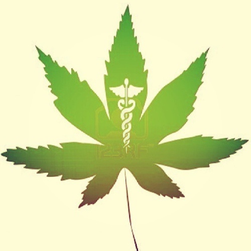 CaptainKushh420's profile picture. MMPR Patient in Ontario, Canada ✌️One Love✌ IG - Captain_Kush_420