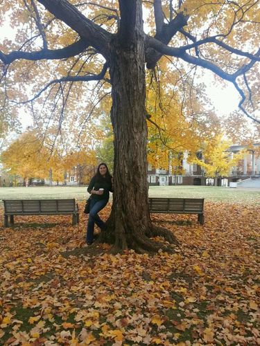 Data Analysis Specialist @BrandeisLibrary. PhD in Political Science