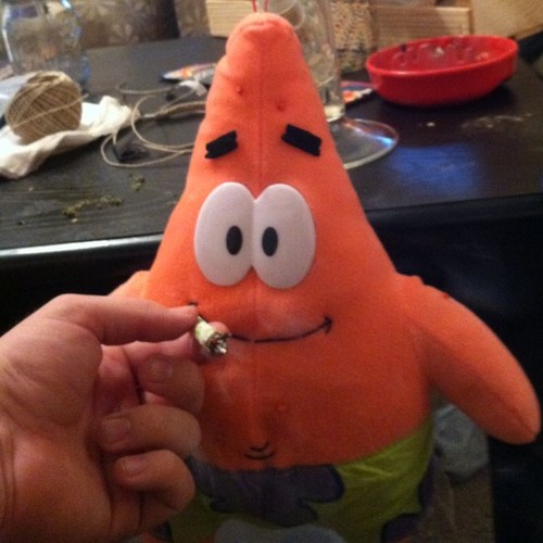 Hi my name is Patrick, I am a starfish and I love weed.