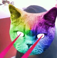 Morre.