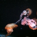 Heather Murdoch - @murdochmama - Twitter