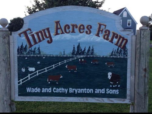 TinyAcresFarm's profile picture. 