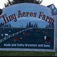 Tiny Acres Farm (@tinyacresfarm) 's Twitter Profile