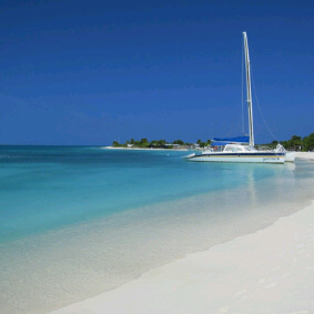 nirida79's profile picture. 