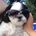 Teddy Byrd - @TheLifeOfTed - Twitter