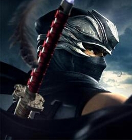 I'm not a murderer, nor a hero. That's what it means to be a ninja. I'm Ryu, also known as The ultimate ninja