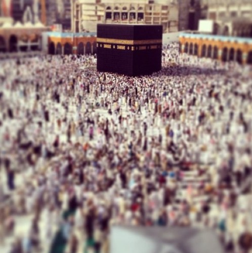 لعل ان يكون هذا الحساب سبب في شفاعتي ❤ اللهم إني أسألك رضاك والجنة ♡ أستغفر اللہ والحمدلله ولا اله الا اللہ ♡♡ FollowMe=FollowBack