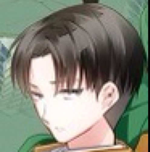 Oi, brats...
 ((Shingeki no Kyojin RP account))
