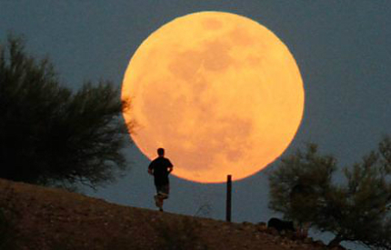 kdc1962's profile picture. 