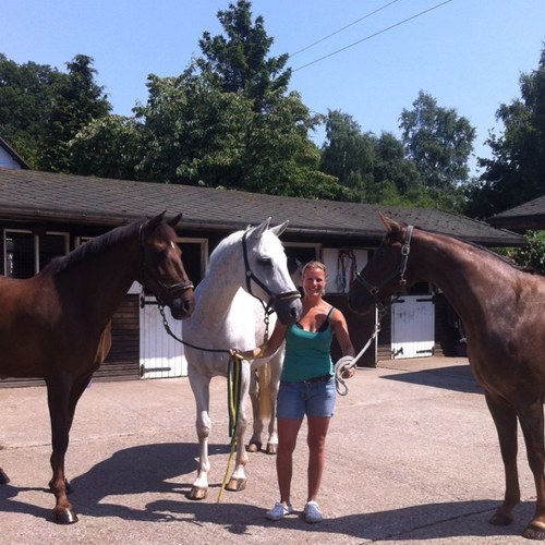 JessB1976's profile picture. Juggling a 2 kid family, a livery yard, 3 competition horses and a social life. Definitely prefer animals to people!